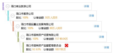 海口商业旅游公司 数字化赋能，打造自贸港旅游服务新标杆