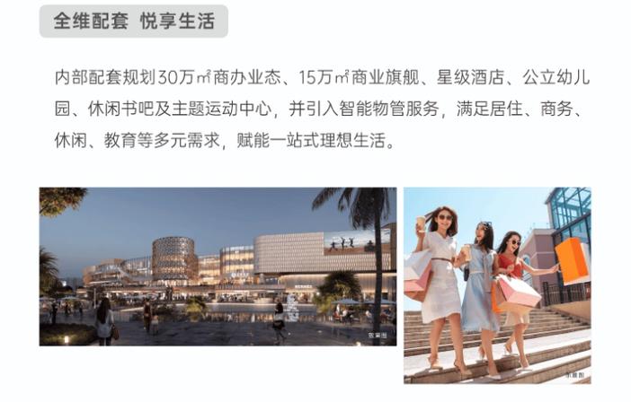 海口滨海新天地开发商2026更新